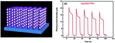 Graphical abstract: The enhancement of a self-powered UV photodetector based on vertically aligned Ag-modified ZnO nanowires