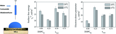 Graphical abstract: Characteristics of a phospholipid DOPC/cholesterol bilayer based on surface free energy and its components