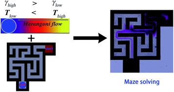 Graphical abstract: Maze solving using temperature-induced Marangoni flow