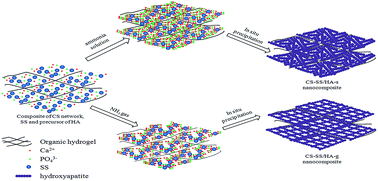 Graphical abstract: A novel nanocomposite for bone tissue engineering based on chitosan–silk sericin/hydroxyapatite: biomimetic synthesis and its cytocompatibility