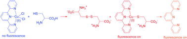 Graphical abstract: Spectroscopic studies on the interaction of terpyridine-CuCl2 with cysteine