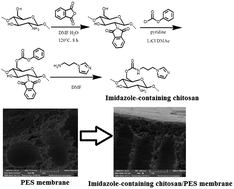 Graphical abstract: Facilitated transport of CO2 through novel imidazole-containing chitosan derivative/PES membranes