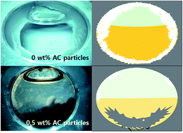 Graphical abstract: Inhibition effects of activated carbon particles on gas hydrate formation at oil–water interfaces