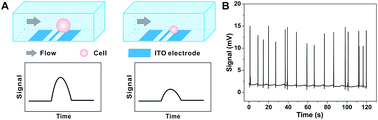 Graphical abstract: Microfluidic contactless conductivity cytometer for electrical cell sensing and counting