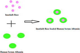 Graphical abstract: Preparation of imatinib base loaded human serum albumin for application in the treatment of glioblastoma