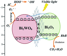 Graphical abstract: One-step synthesis of Bi2WO6/Bi2O3 loaded reduced graphene oxide multicomponent composite with enhanced visible-light photocatalytic activity