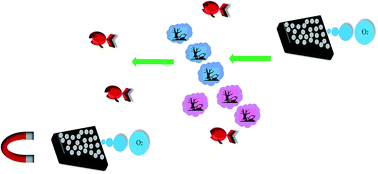 Graphical abstract: A simple method for the fabrication of nanomotors based on a gold nanosheet decorated with CoPt nanoparticles