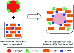 Graphical abstract: One-pot synthesis of 2-thenoyltrifluoroacetone surface functionalised SrF2:Eu3+ nanoparticles: trace level detection of water