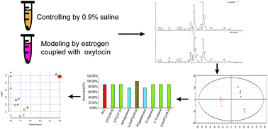 Graphical abstract: Evaluation and optimization of biomarkers in a primary dysmenorrhea model using ultra performance liquid chromatography coupled with quadrupole-time-of-flight mass spectrometry combined with a support vector machine