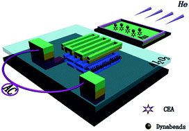 Graphical abstract: Ultrasensitive determination of carcinoembryonic antigens using a magnetoimpedance immunosensor