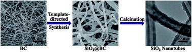 Graphical abstract: Bacterial cellulose-templated synthesis of free-standing silica nanotubes with a three-dimensional network structure