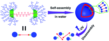 Graphical abstract: A dumbbell-like supramolecular triblock copolymer and its self-assembly of light-responsive vesicles