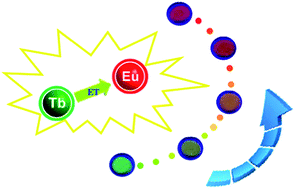 Graphical abstract: Energy transfer and luminescent properties of Ca8MgLu(PO4)7:Tb3+/Eu3+ as a green-to-red color tunable phosphor under NUV excitation