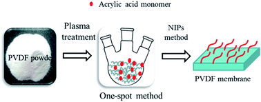 Graphical abstract: Improved antifouling property of PVDF ultrafiltration membrane with plasma treated PVDF powder