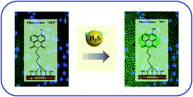 Graphical abstract: Silicon nanowires-based fluorescent sensor for in situ detection of hydrogen sulfide in extracellular environment