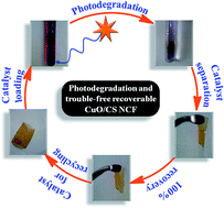 Graphical abstract: Novel CuO/chitosan nanocomposite thin film: facile hand-picking recoverable, efficient and reusable heterogeneous photocatalyst