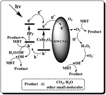Graphical abstract: Selective photodegradation of 2-mercaptobenzothiazole by a novel imprinted CoFe2O4/MWCNTs photocatalyst