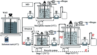 Graphical abstract: Upgrading of anaerobic digestion of waste activated sludge by a hyper-thermophilic–mesophilic temperature-phased process with a recycle system