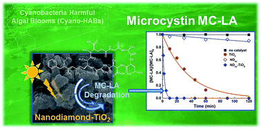 Graphical abstract: Nanodiamond–TiO2 composites for photocatalytic degradation of microcystin-LA in aqueous solutions under simulated solar light