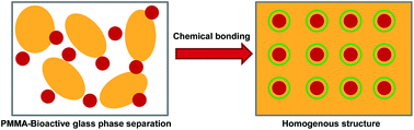 Graphical abstract: Bioactive poly(methyl methacrylate) for bone fixation