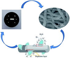 Graphical abstract: N-type SnO2 nanosheets standing on p-type carbon nanofibers: a novel hierarchical nanostructures based hydrogen sensor