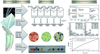 Graphical abstract: Purification of avian biological material to refined keratin fibres