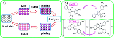 Graphical abstract: Limitations of MTT and CCK-8 assay for evaluation of graphene cytotoxicity