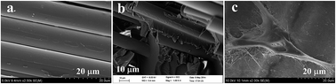 Graphical abstract: Enhanced properties of fiberglass-reinforced photocurable resin pile by introducing different fiberglass surface treatments and their biological evolution