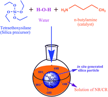 Graphical abstract: Controlled growth of in situ silica in a NR/CR blend by a solution sol–gel method and the studies of its composite properties