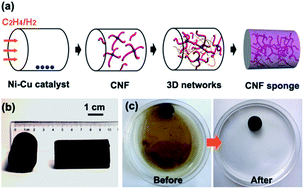Graphical abstract: Flexible carbon nanofiber sponges for highly efficient and recyclable oil absorption