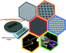 Graphical abstract: “Pop-slide” patterning: rapid fabrication of microstructured PDMS gasket slides for biological applications