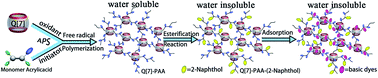 Graphical abstract: Direct syntheses of cucurbit[7]uril-anchored polyacrylic acid microspheres and adsorption of basic dyes by the derivative