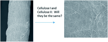 Graphical abstract: Characterization of micro fibrillation process of cellulose and mercerized cellulose pulp