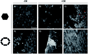 Graphical abstract: Conditioned bio-interfaces of silicon/porous silicon micro-patterns lead to the chondrogenesis of hMSCs