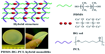 Graphical abstract: Content-dependent biomineralization activity and mechanical properties based on polydimethylsiloxane–bioactive glass–poly(caprolactone) hybrids monoliths for bone tissue regeneration