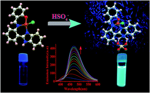 Graphical abstract: A water soluble copper(ii) complex as a HSO4− ion selective turn-on fluorescent sensor applicable in living cell imaging