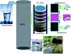 Graphical abstract: Bioactive prodigiosin-impregnated cellulose matrix for the removal of pathogenic bacteria from aqueous solution