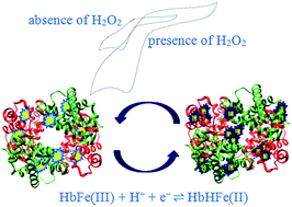 Graphical abstract: A novel electrochemical hydrogen peroxide biosensor based on hemoglobin capped gold nanoclusters–chitosan composite