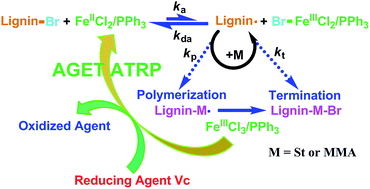 Graphical abstract: Fe(iii)-catalyzed grafting copolymerization of lignin with styrene and methyl methacrylate through AGET ATRP using triphenyl phosphine as a ligand