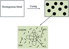 Graphical abstract: Reaction-induced microphase separation in DDS-cured TGDDM thermosets containing PCL-b-PES-b-PCL triblock copolymer