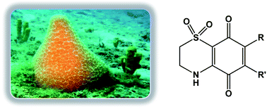 Graphical abstract: Marine inspired antiplasmodial thiazinoquinones: synthesis, computational studies and electrochemical assays
