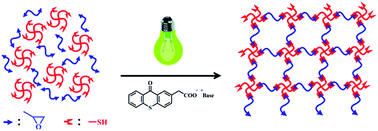 Graphical abstract: Thioxanthone acetic acid ammonium salts: highly efficient photobase generators based on photodecarboxylation