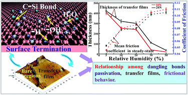 Graphical abstract: Understanding integrated effects of humidity and interfacial transfer film formation on tribological behaviors of sintered polycrystalline diamond