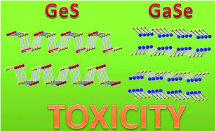 Graphical abstract: Toxicity of layered semiconductor chalcogenides: beware of interferences