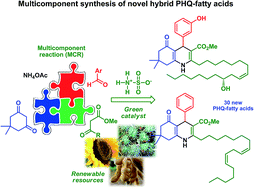 Graphical abstract: Multicomponent synthesis of novel hybrid PHQ-fatty acids