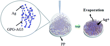 Graphical abstract: Fibrous antibacterial coatings from self-assembled silver-binding elastins
