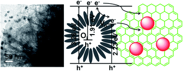 Graphical abstract: Fast and effective electron transport in a Au–graphene–ZnO hybrid for enhanced photocurrent and photocatalysis