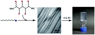 Graphical abstract: Self-assembly of the sodium salts of fatty acids into limpid hydrogels through non-covalent interactions with peptides