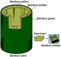 Graphical abstract: Fabrication of superhydrophobic bamboo timber based on an anatase TiO2 film for acid rain protection and flame retardancy