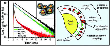 Graphical abstract: Battling absorptive losses by plasmon–exciton coupling in multimeric nanostructures